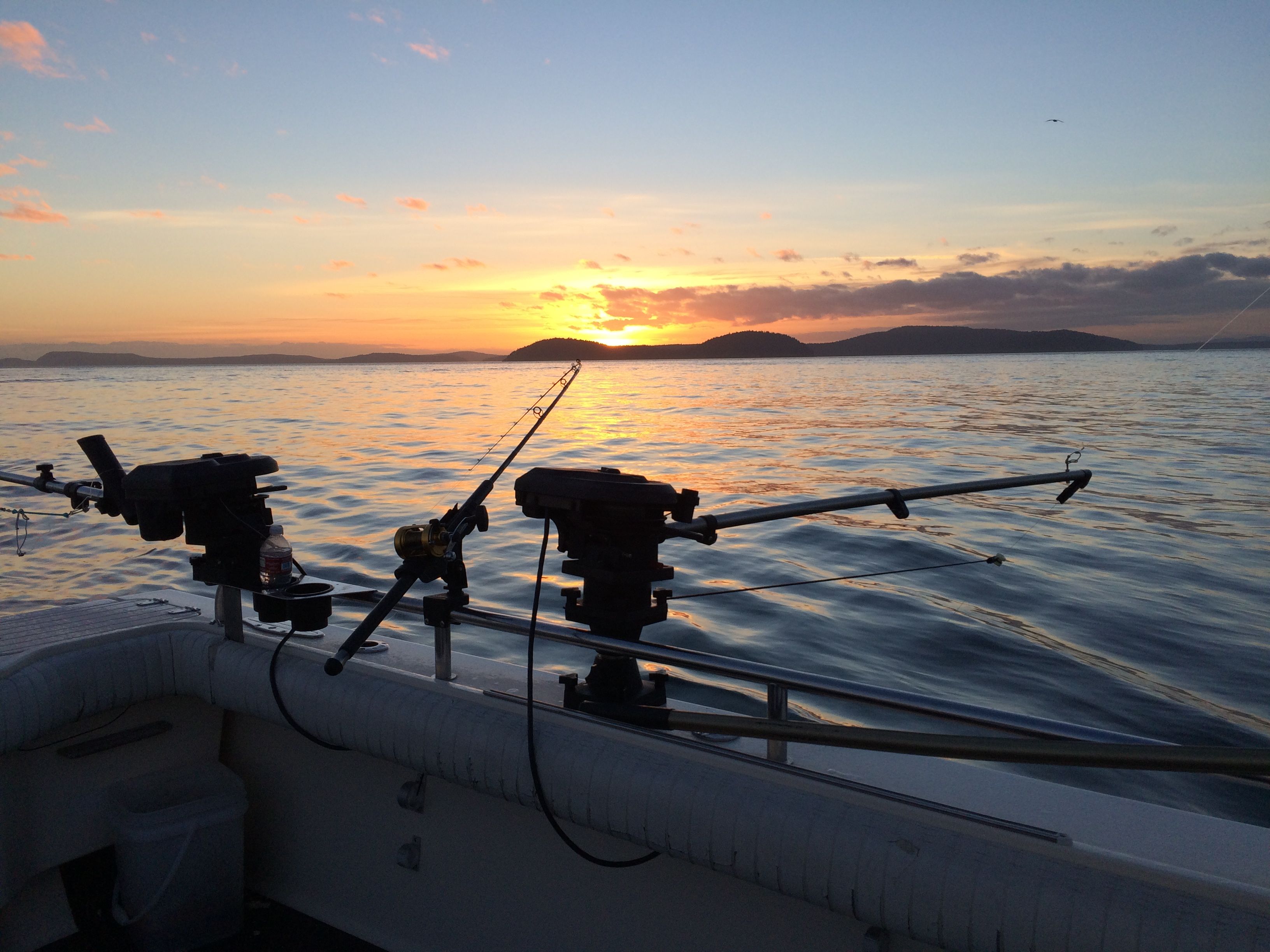 We are well-equipped for the job at hand, utilizing Lamiglas rods, Shimano reels, and Scotty downriggers.