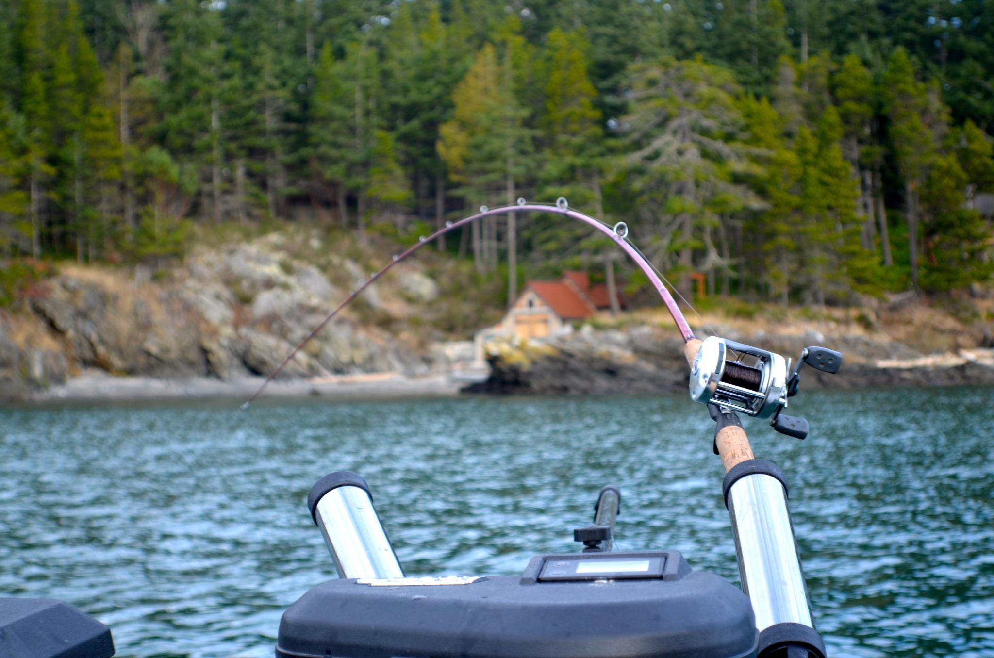 Experience the anticipation and excitement that only fishing can bring